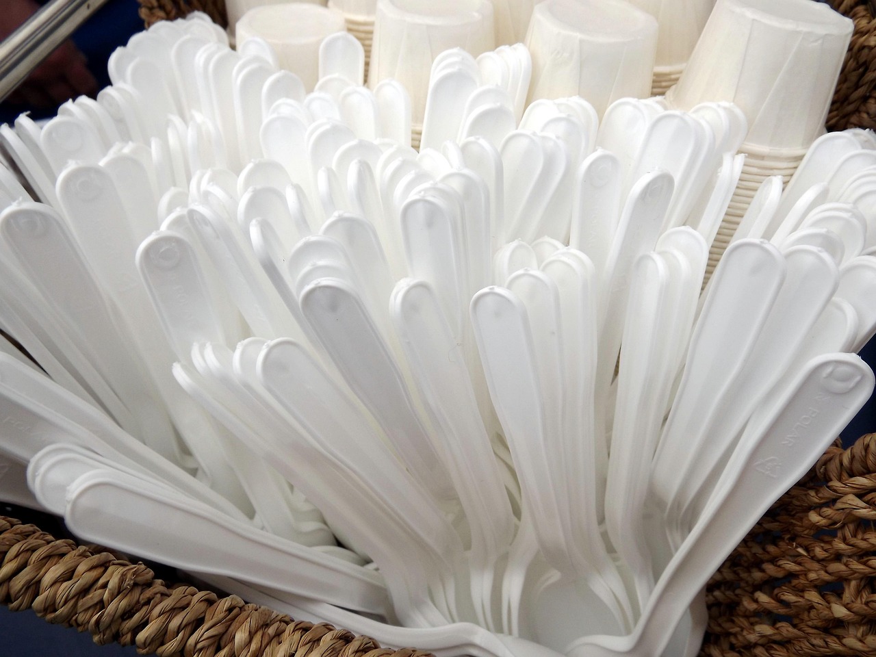 Vaisselle de fête en carton